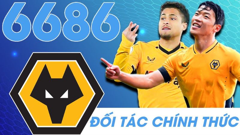6686 trang web cá cược uy tín hàng đầu tại Việt Nam